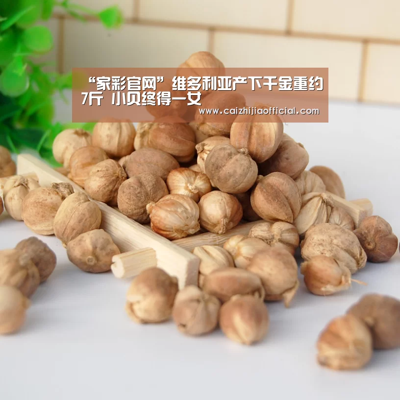 家彩开奖查询