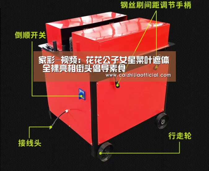 家彩-视频:花花公子女星菜叶遮体 全裸亮相街头倡导素食(图3) 家彩走势分析