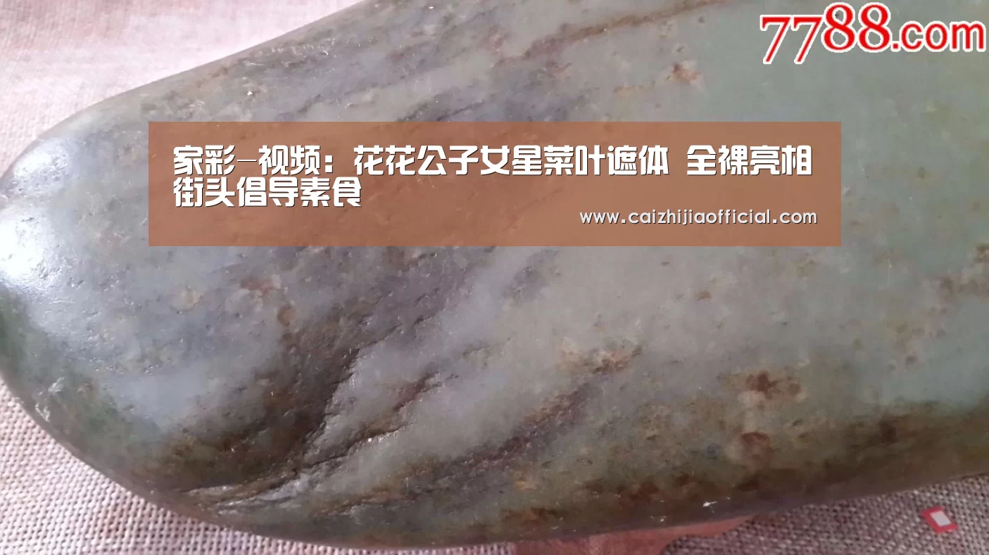 家彩-视频:花花公子女星菜叶遮体 全裸亮相街头倡导素食(图2) 家彩