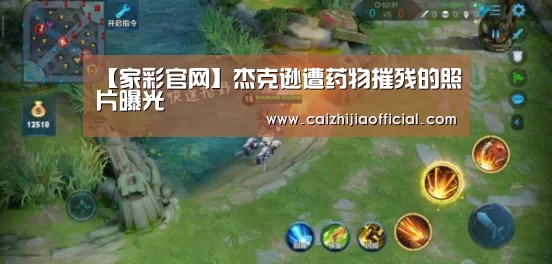 家彩