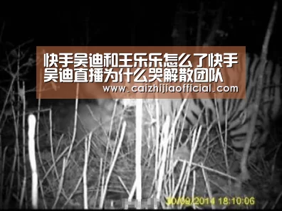快手吴迪和王乐乐怎么了快手吴迪直播为什么哭解散团队【家彩】(图3) 家彩官网
